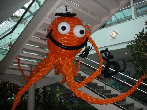 Octopus displayed